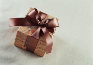 ドッグハウスは日本製が安心です